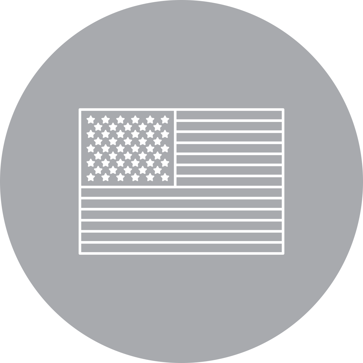 USA Flag